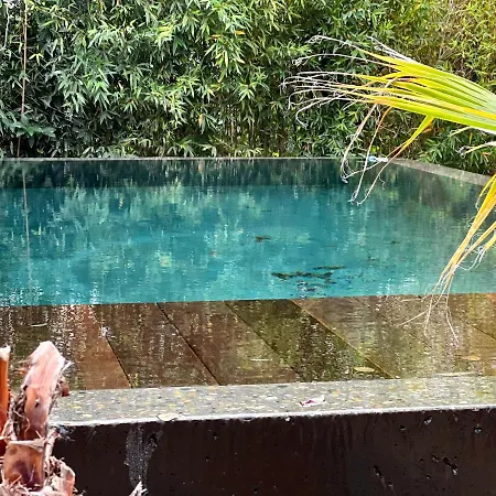 La Villa Canopee - Piscine Chauffee-Fibre-Clim-Jacuzzi Gujan-Mestras Exterior photo