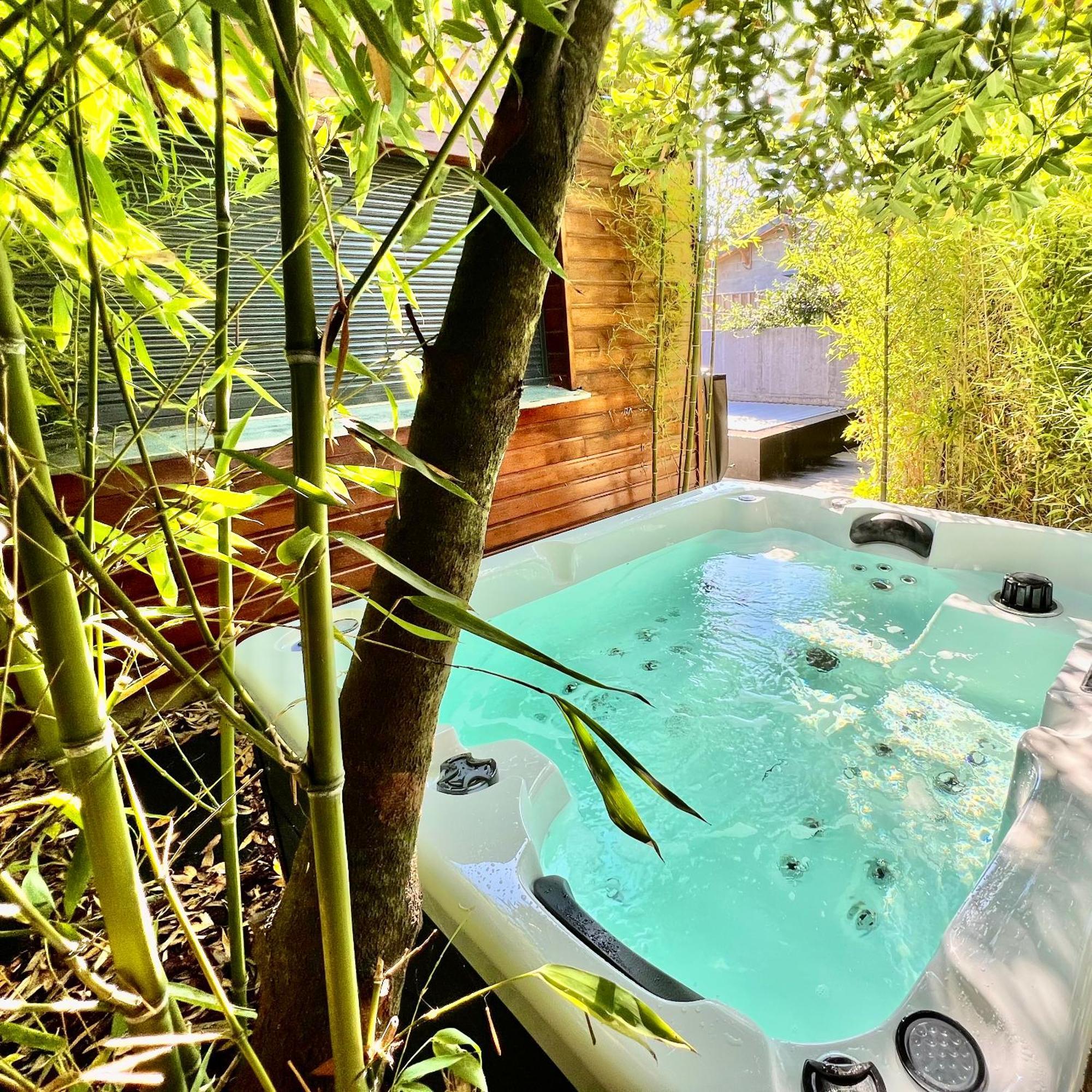 La Canopee - Piscine Chauffee-fibre-clim-jacuzzi *